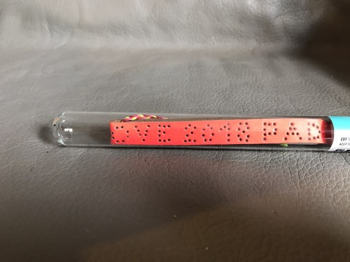 Sorbet bracelets armband - bracelets,